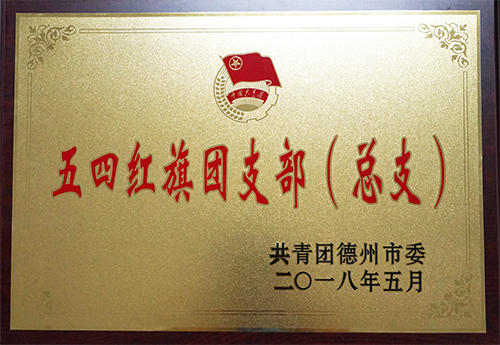 江南平台-江南(中国)一站式服务平台
荣获“德州市五四红旗团支部”荣誉称号